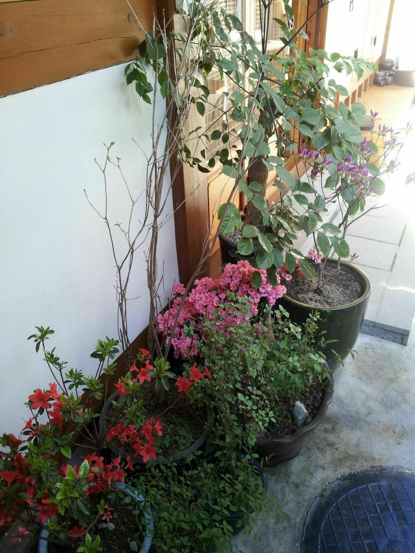 Han Hanok Guesthouse 서울특별시 외부 사진